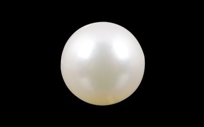 South Sea Pearl - 3.83 Carat Prime Quality SSP-8565