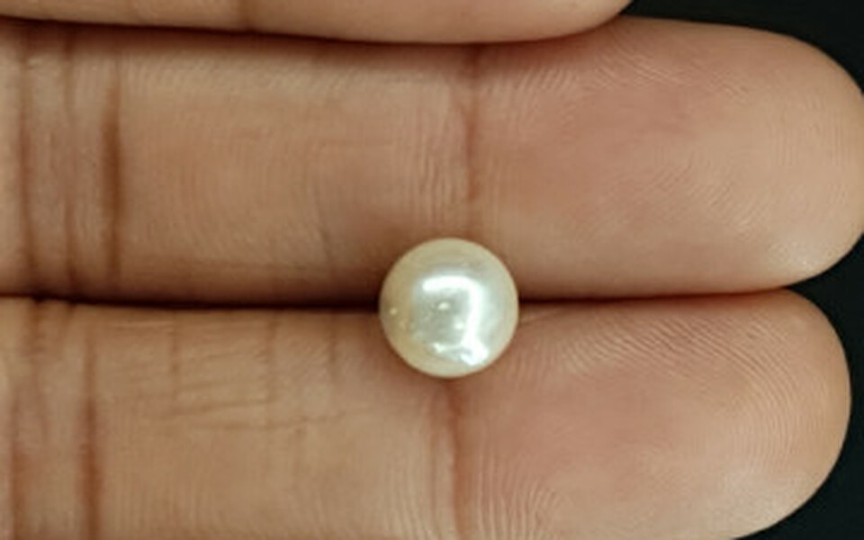 South Sea Pearl - 3.83 Carat Prime Quality SSP-8725