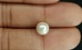 South Sea Pearl - 3.83 Carat Prime Quality SSP-8725