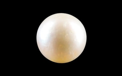 South Sea Pearl - 3.83 Carat Prime Quality SSP-8725