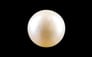 South Sea Pearl - 3.83 Carat Prime Quality SSP-8725