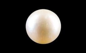 South Sea Pearl - 3.83 Carat Prime Quality SSP-8725