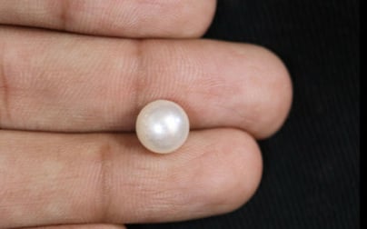 South Sea Pearl - 3.84 Carat Fine Quality SSP-8587