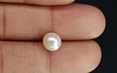 South Sea Pearl - 3.84 Carat Prime Quality SSP-8700