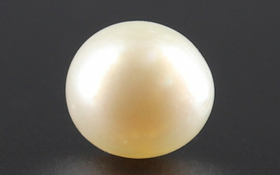 South Sea Pearl - 3.84 Carat Prime Quality SSP-8700