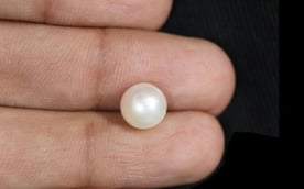 South Sea Pearl - 3.86 Carat Fine Quality SSP-8585