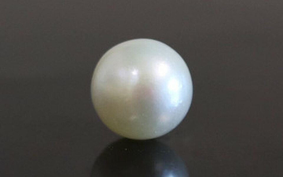 South Sea Pearl - 3.86 Carat Fine Quality SSP-8585
