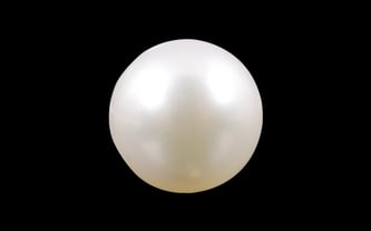 South Sea Pearl - 3.91 Carat Prime Quality SSP-8561