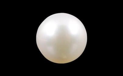 South Sea Pearl - 3.91 Carat Prime Quality SSP-8561