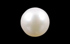 South Sea Pearl - 3.91 Carat Prime Quality SSP-8561
