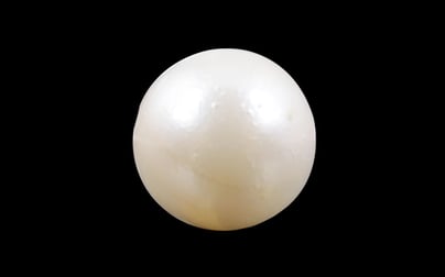 South Sea Pearl - 3.93 Carat Prime Quality SSP-8502