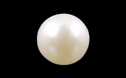 South Sea Pearl - 3.93 Carat Prime Quality SSP-8556