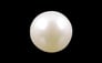 South Sea Pearl - 3.93 Carat Prime Quality SSP-8556