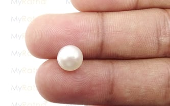 South Sea Pearl - 3.94 Carat Prime Quality SSP-8517 