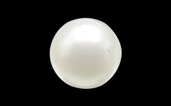 South Sea Pearl - 3.94 Carat Prime Quality SSP-8517 