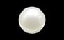 South Sea Pearl - 3.94 Carat Prime Quality SSP-8517 