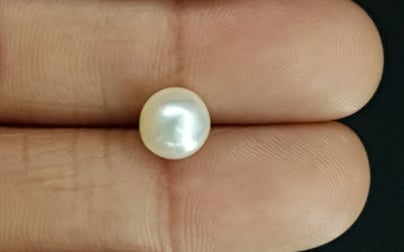 South Sea Pearl - 3.97 Carat Prime Quality SSP-8706