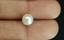 South Sea Pearl - 3.97 Carat Prime Quality SSP-8706