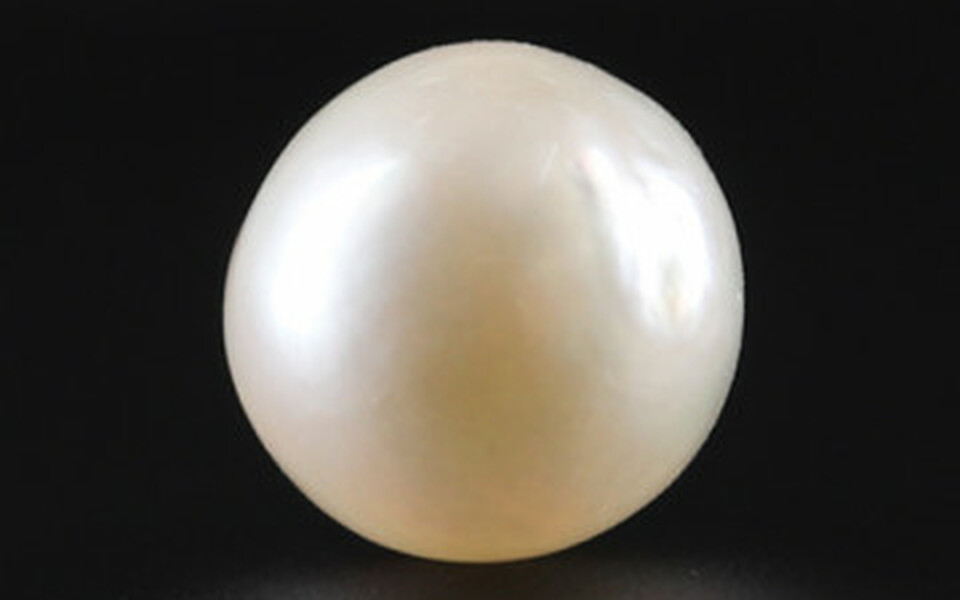 South Sea Pearl - 3.97 Carat Prime Quality SSP-8706