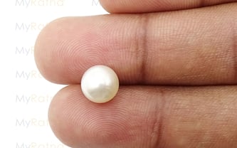 South Sea Pearl - 4.12 Carat Prime Quality SSP-8516