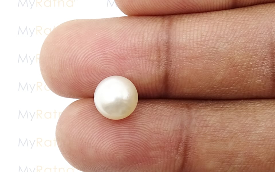 South Sea Pearl - 4.12 Carat Prime Quality SSP-8516