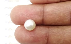 South Sea Pearl - 4.12 Carat Prime Quality SSP-8516