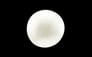 South Sea Pearl - 4.12 Carat Prime Quality SSP-8516