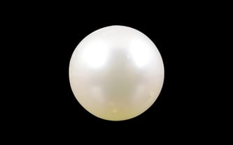 South Sea Pearl - 4.14 Carat Prime Quality SSP-8558 