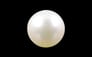 South Sea Pearl - 4.14 Carat Prime Quality SSP-8558 