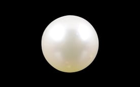 South Sea Pearl - 4.14 Carat Prime Quality SSP-8558 
