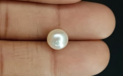 South Sea Pearl - 4.28 Carat Prime Quality SSP-8708
