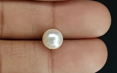 South Sea Pearl - 4.32 Carat Prime Quality SSP-8716