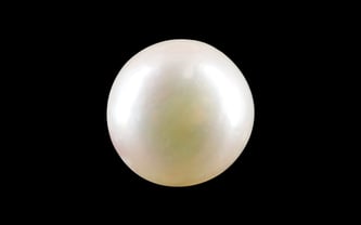 South Sea Pearl - 4.32 Carat Prime Quality SSP-8716