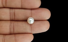 South Sea Pearl - 4.34 Carat Prime Quality SSP-8732