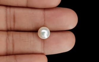 South Sea Pearl - 4.37 Carat Prime Quality SSP-8693