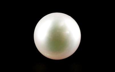 South Sea Pearl - 4.37 Carat Prime Quality SSP-8693