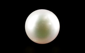 South Sea Pearl - 4.37 Carat Prime Quality SSP-8693