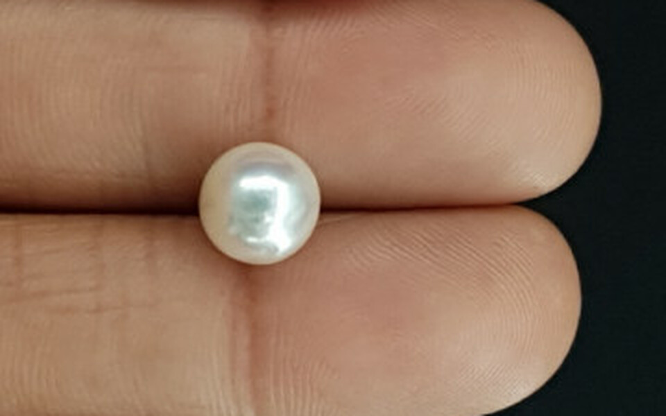South Sea Pearl - 4.42 Carat Prime Quality SSP-8709
