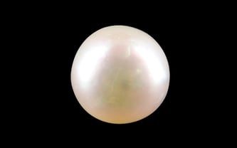 South Sea Pearl - 4.42 Carat Prime Quality SSP-8709