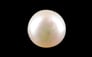 South Sea Pearl - 4.42 Carat Prime Quality SSP-8709