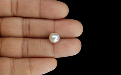 South Sea Pearl - 4.54 Carat Prime Quality SSP-8728