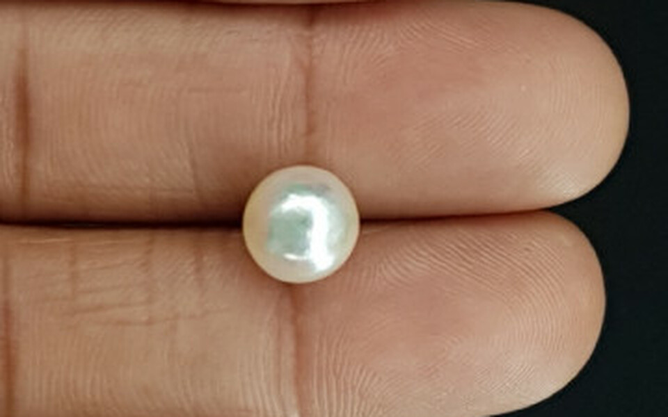 South Sea Pearl - 4.55 Carat Prime Quality SSP-8727