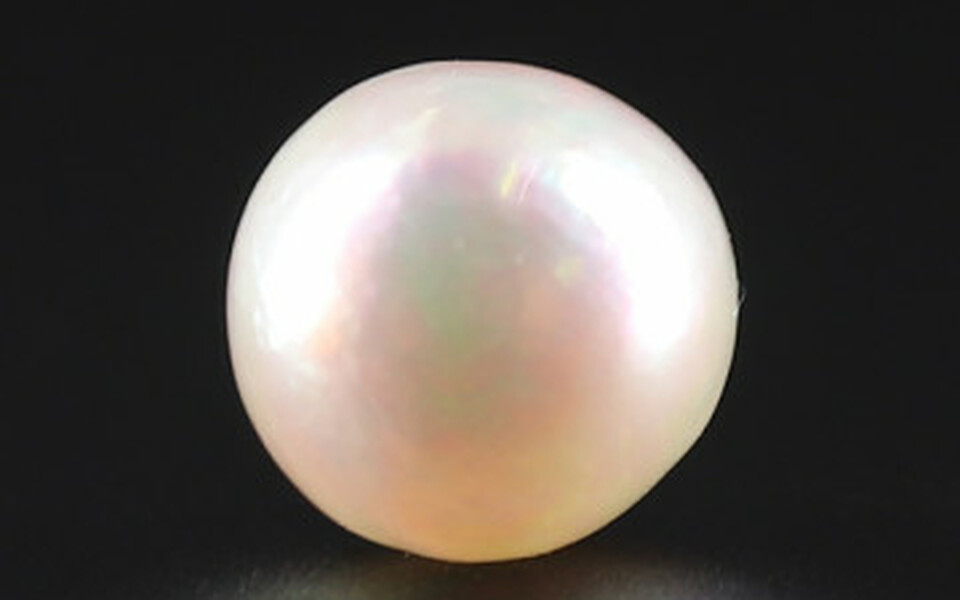 South Sea Pearl - 4.55 Carat Prime Quality SSP-8727