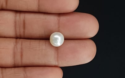 South Sea Pearl - 4.71 Carat Prime Quality SSP-8696