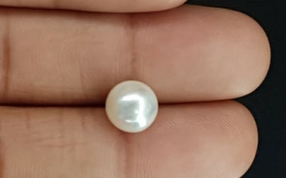 South Sea Pearl - 4.73 Carat Prime Quality SSP-8724