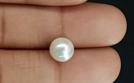 South Sea Pearl - 4.73 Carat Prime Quality SSP-8724