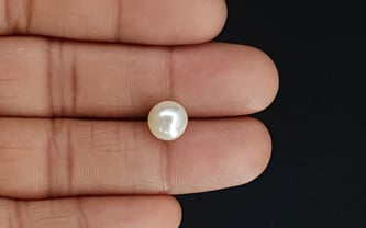 South Sea Pearl - 4.75 Carat Prime Quality SSP-8701