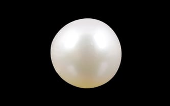 South Sea Pearl - 4.8 Carat Prime Quality SSP-8567