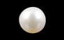 South Sea Pearl - 4.8 Carat Prime Quality SSP-8567