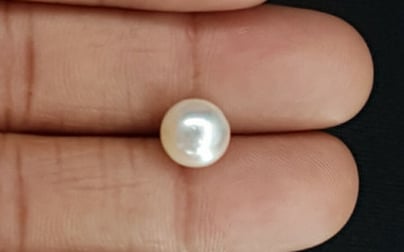 South Sea Pearl - 4.81 Carat Prime Quality SSP-8703